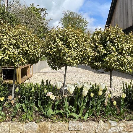 Pensjonat Cedar House Ilsington Zewnętrze zdjęcie
